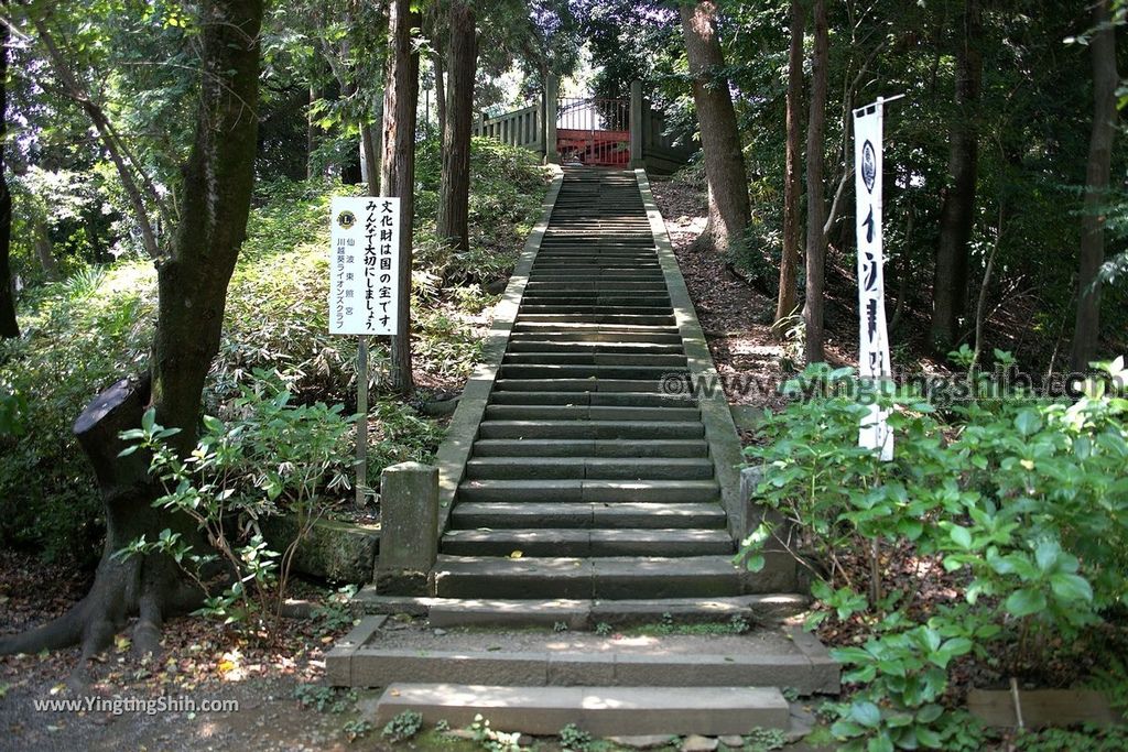 YTS_YTS_20190804_日本關東埼玉川越仙波東照宮／葵庭園Japan Kanto Saitama Senba Tōshō-gū023_539A1840.jpg