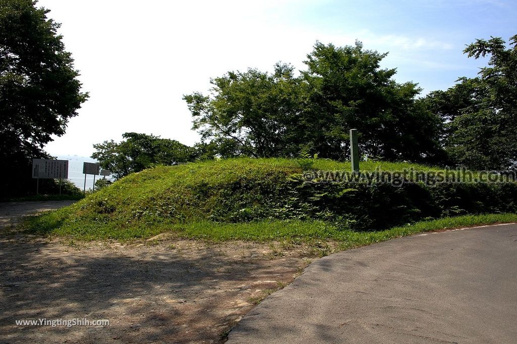 YTS_YTS_20190731_日本東北宮城松島貓尾巴／馬の背／子馬Japan Tohoku Miyagi Cat Tail／Matsushima Umanose001_539A2883.jpg