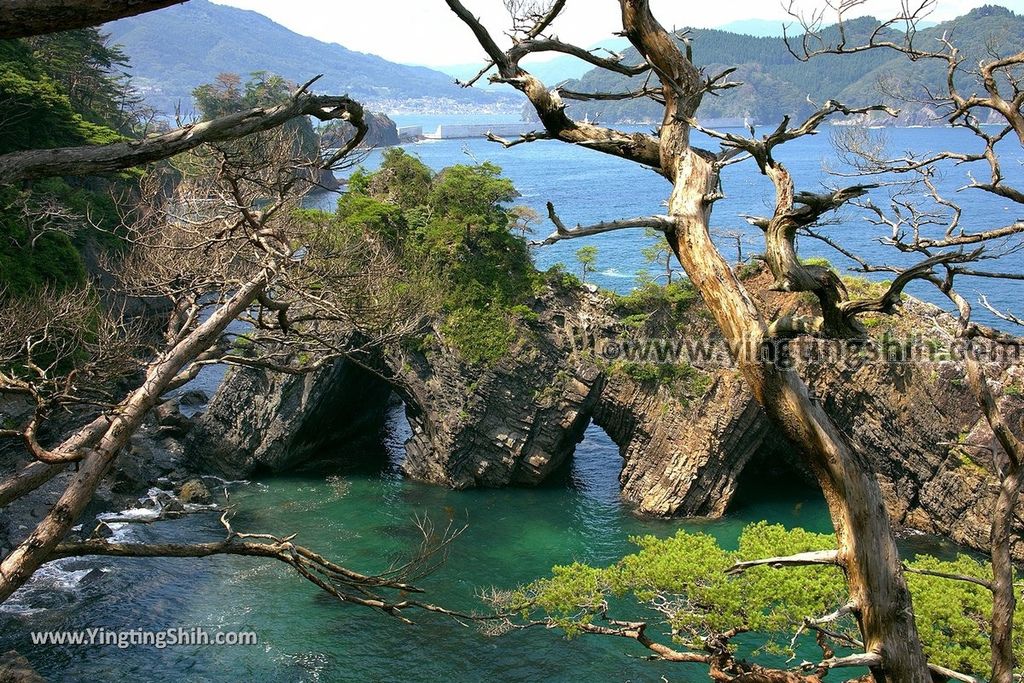 YTS_YTS_20190728_日本東北岩手大船渡穴通磯／日本之濱百選／白砂青松百選／碁石海岸Japan Tohoku Iwate Anatoshiiso032_539A8646.jpg