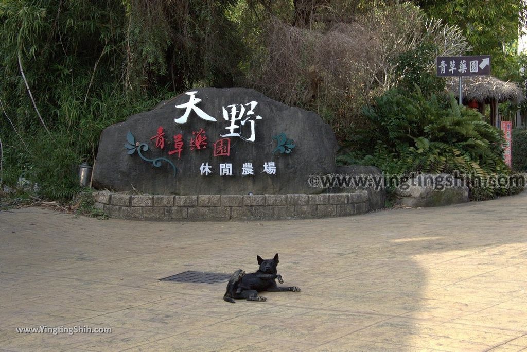 YTS_YTS_20180224_南投竹山天野青草藥園／竹山天野養生餐廳Nantou Jushan Green Herb Garden001_3A5A6266.jpg