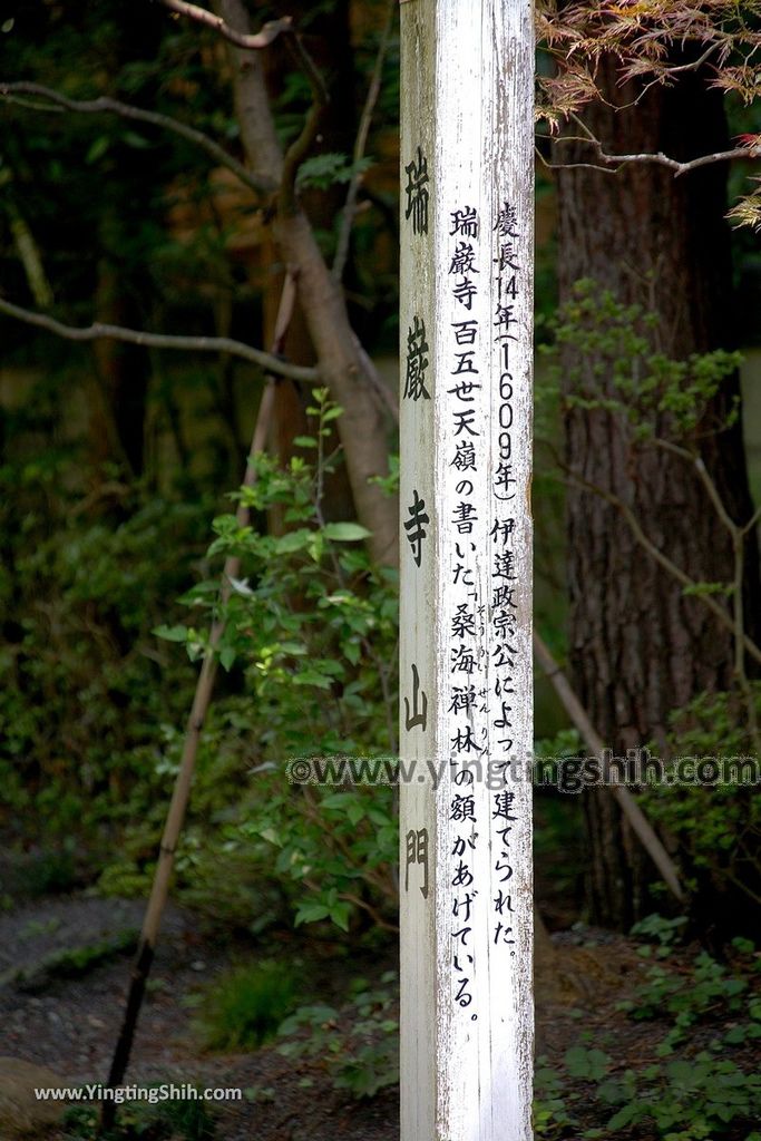 YTS_YTS_20190731_日本東北宮城松島瑞巌寺／洞窟遺跡群／本堂（元方丈）／青龍殿Japan Tohoku Miyagi Matsushima Zuiganji Temple009_539A3581.jpg