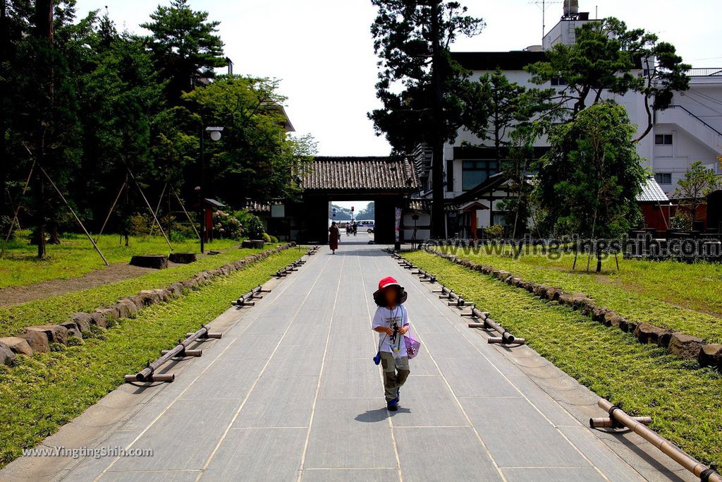 YTS_YTS_20190731_日本東北宮城松島瑞巌寺／洞窟遺跡群／本堂（元方丈）／青龍殿Japan Tohoku Miyagi Matsushima Zuiganji Temple017_539A3598.jpg