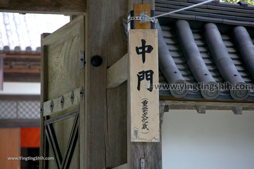 YTS_YTS_20190731_日本東北宮城松島瑞巌寺／洞窟遺跡群／本堂（元方丈）／青龍殿Japan Tohoku Miyagi Matsushima Zuiganji Temple051_539A3660.jpg