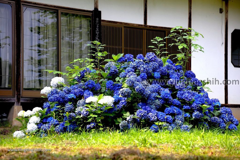 YTS_YTS_20190726_日本東北岩手国見山廃寺跡／極楽寺／六角堂Japan Tohoku Iwate Gokurakuji025_539A5571.jpg