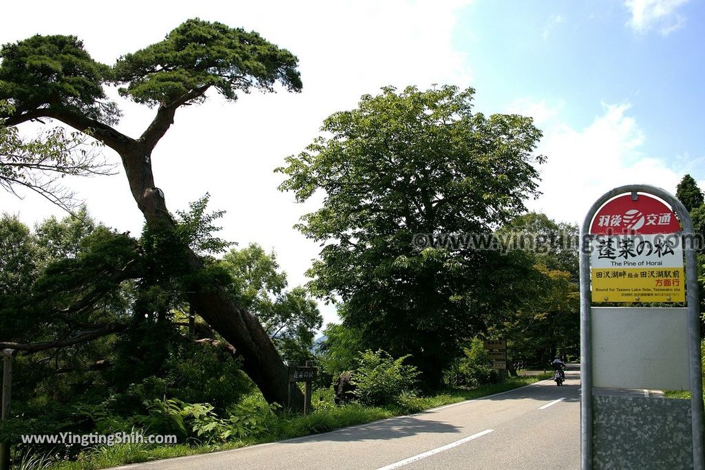 YTS_YTS_20190720_日本東北秋田田沢湖蓬莱の松／白濱／平福百穗歌碑Japan Tohoku Akita Horai Pine002_539A3259.jpg