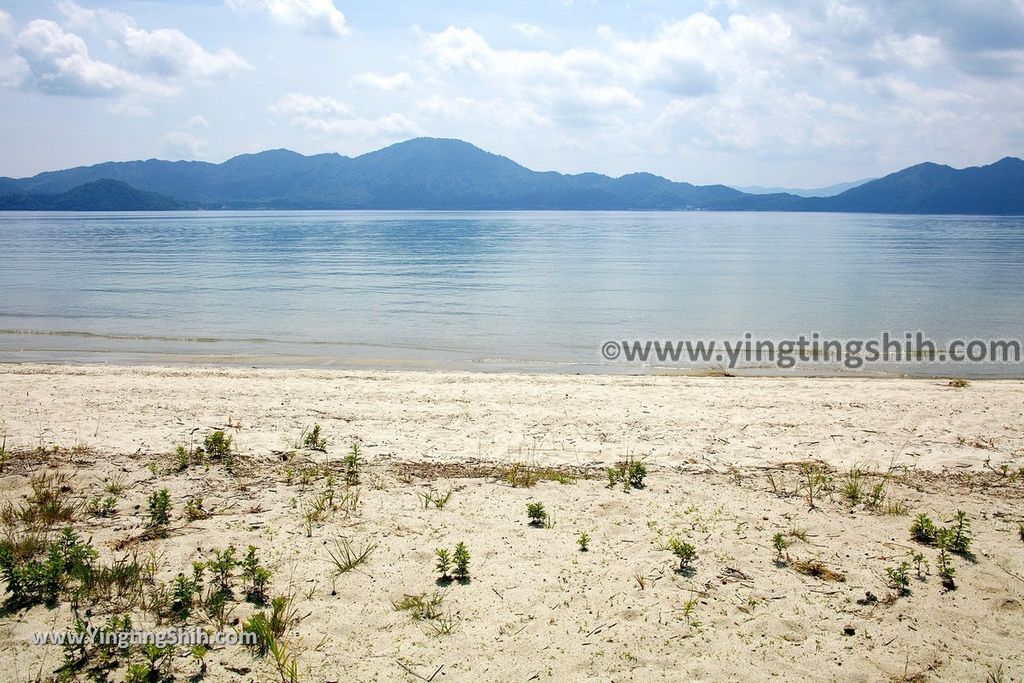 YTS_YTS_20190720_日本東北秋田田沢湖蓬莱の松／白濱／平福百穗歌碑Japan Tohoku Akita Horai Pine017_539A3236.jpg