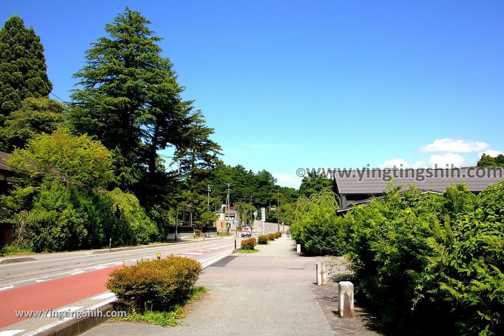 YTS_YTS_20190721_日本東北秋田角館武家屋敷／日本道百選／陸奧小京都／桜並木Japan Tohoku Akita Samurai House／Sakuranamiki002_539A5199.jpg