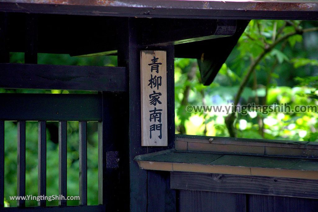 YTS_YTS_20190721_日本東北秋田角館武家屋敷／日本道百選／陸奧小京都／桜並木Japan Tohoku Akita Samurai House／Sakuranamiki064_539A4942.jpg