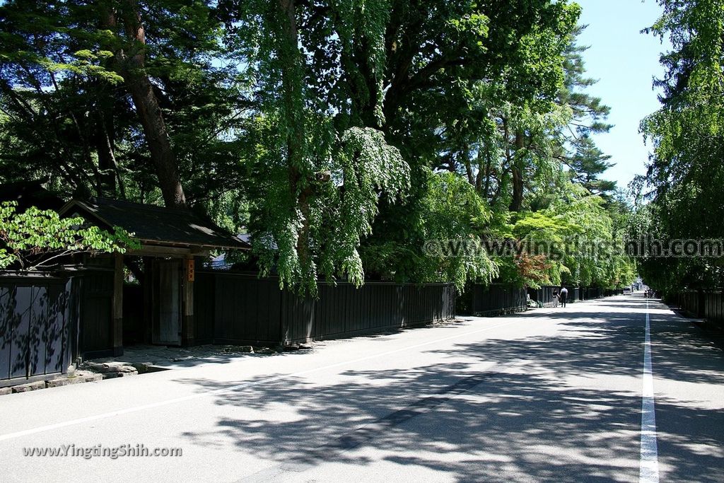 YTS_YTS_20190721_日本東北秋田角館武家屋敷／日本道百選／陸奧小京都／桜並木Japan Tohoku Akita Samurai House／Sakuranamiki103_539A5012.jpg