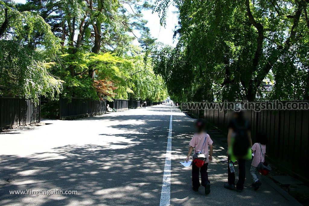 YTS_YTS_20190721_日本東北秋田角館武家屋敷／日本道百選／陸奧小京都／桜並木Japan Tohoku Akita Samurai House／Sakuranamiki106_539A5016.jpg