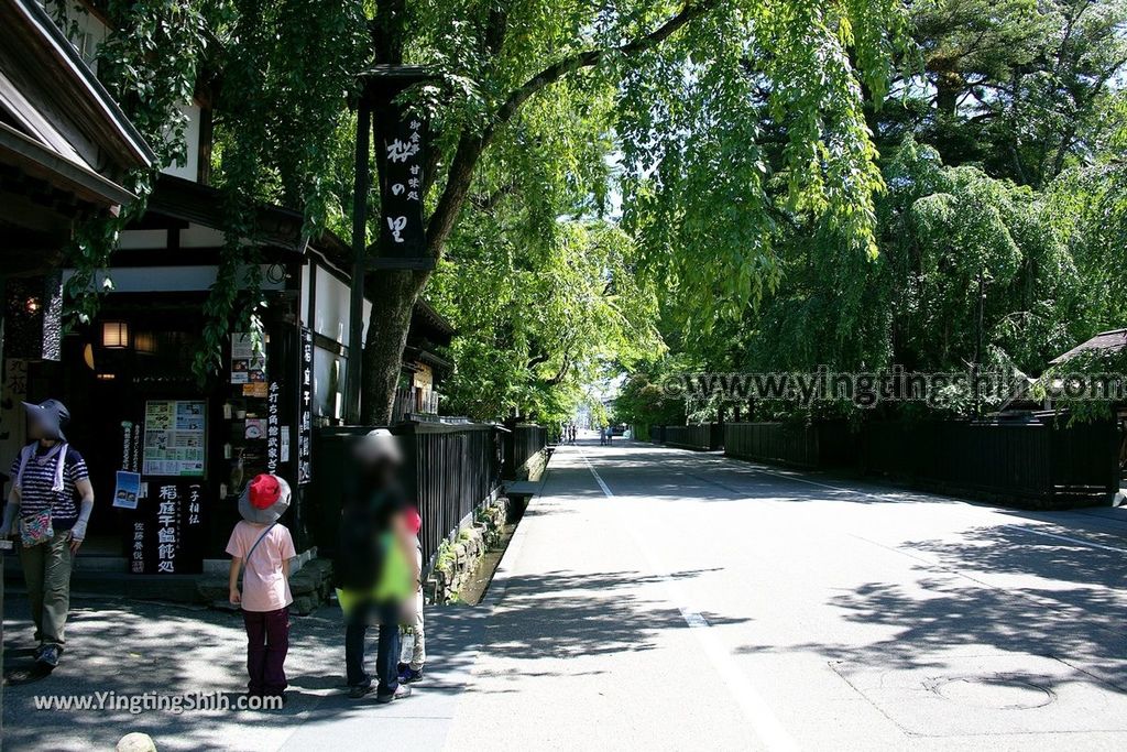 YTS_YTS_20190721_日本東北秋田角館武家屋敷／日本道百選／陸奧小京都／桜並木Japan Tohoku Akita Samurai House／Sakuranamiki125_539A5046.jpg