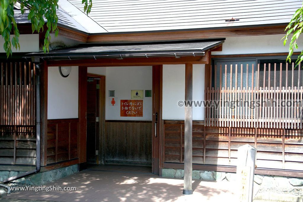 YTS_YTS_20190721_日本東北秋田角館武家屋敷／日本道百選／陸奧小京都／桜並木Japan Tohoku Akita Samurai House／Sakuranamiki233_539A5178.jpg