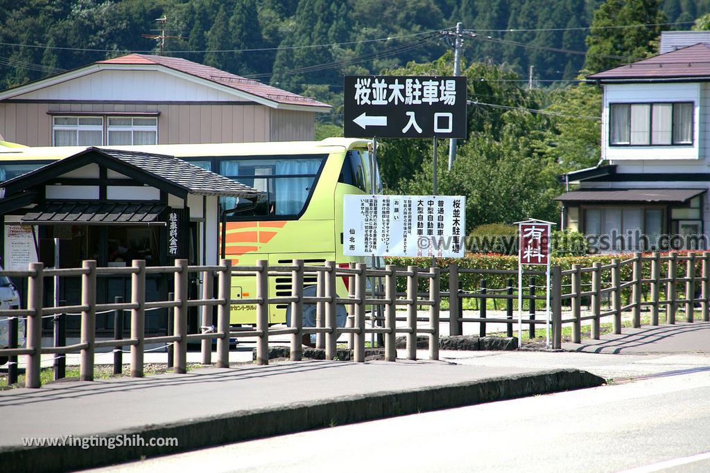 YTS_YTS_20190721_日本東北秋田角館武家屋敷／日本道百選／陸奧小京都／桜並木Japan Tohoku Akita Samurai House／Sakuranamiki234_539A5170.jpg