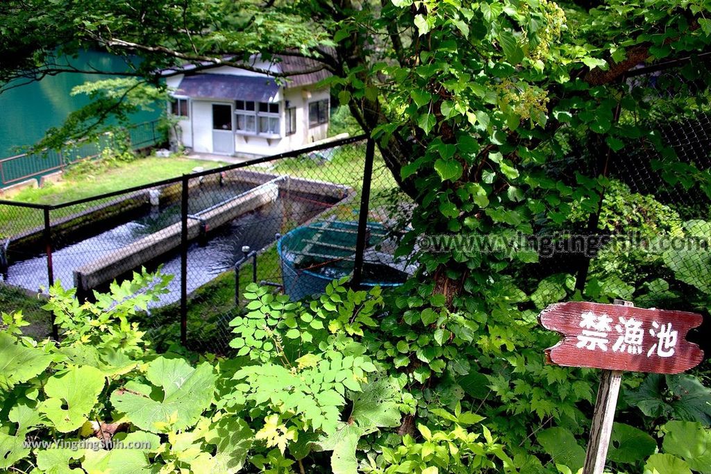 YTS_YTS_20190717_日本東北青森十二湖遊客中心／越口の池／イトウ養魚場Japan Tohoku Aomori Juniko Visitor Center053_539A6592.jpg