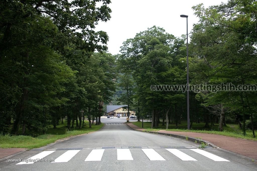 YTS_YTS_20190730_日本東北宮城大崎鳴子峡／大谷川／大深沢橋Japan Tohoku Miyagi Narukokyo Yuryo003_539A1487.jpg