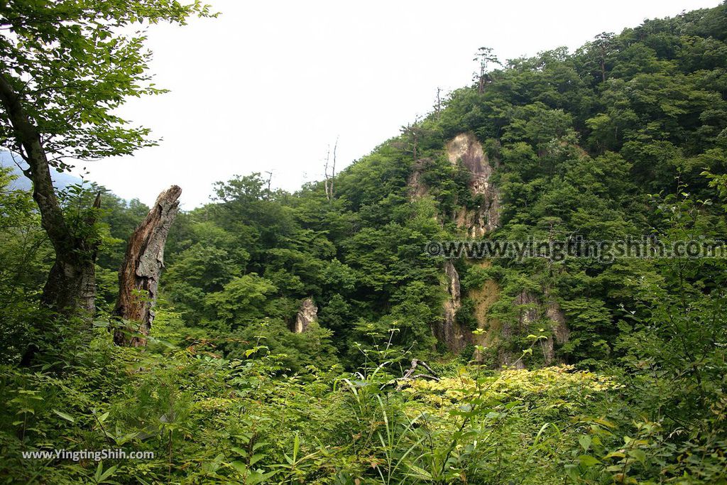 YTS_YTS_20190730_日本東北宮城大崎鳴子峡／大谷川／大深沢橋Japan Tohoku Miyagi Narukokyo Yuryo018_539A1525.jpg