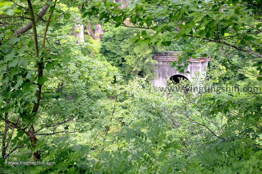 YTS_YTS_20190730_日本東北宮城大崎鳴子峡／大谷川／大深沢橋Japan Tohoku Miyagi Narukokyo Yuryo019_539A1521.jpg