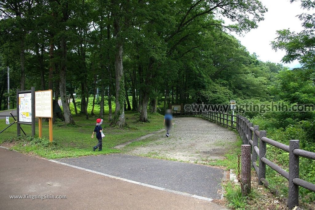 YTS_YTS_20190730_日本東北宮城大崎鳴子峡／大谷川／大深沢橋Japan Tohoku Miyagi Narukokyo Yuryo023_539A1541.jpg