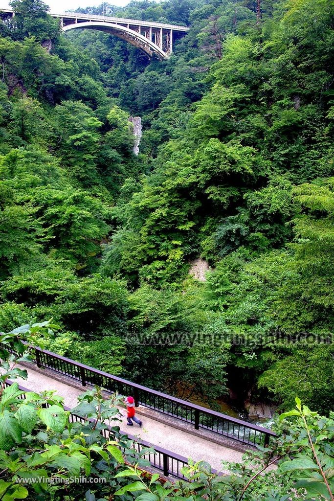 YTS_YTS_20190730_日本東北宮城大崎鳴子峡／大谷川／大深沢橋Japan Tohoku Miyagi Narukokyo Yuryo042_539A1595.jpg