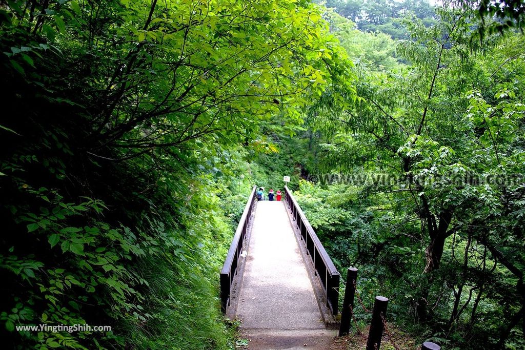 YTS_YTS_20190730_日本東北宮城大崎鳴子峡／大谷川／大深沢橋Japan Tohoku Miyagi Narukokyo Yuryo043_539A1613.jpg