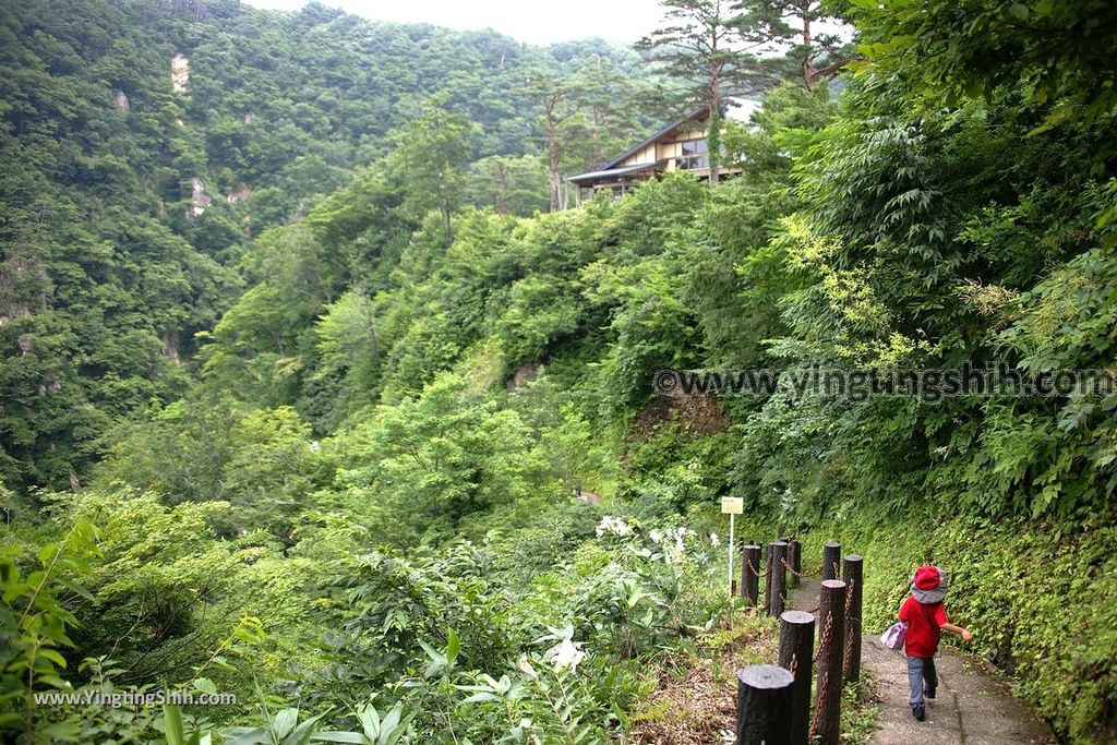 YTS_YTS_20190730_日本東北宮城大崎鳴子峡／大谷川／大深沢橋Japan Tohoku Miyagi Narukokyo Yuryo038_539A1561.jpg