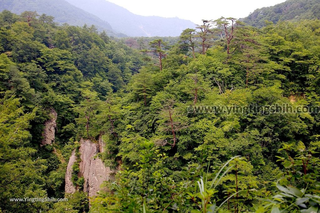 YTS_YTS_20190730_日本東北宮城大崎鳴子峡／大谷川／大深沢橋Japan Tohoku Miyagi Narukokyo Yuryo053_539A2098.jpg