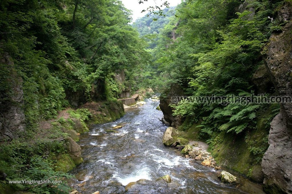 YTS_YTS_20190730_日本東北宮城大崎鳴子峡／大谷川／大深沢橋Japan Tohoku Miyagi Narukokyo Yuryo058_539A1984.jpg