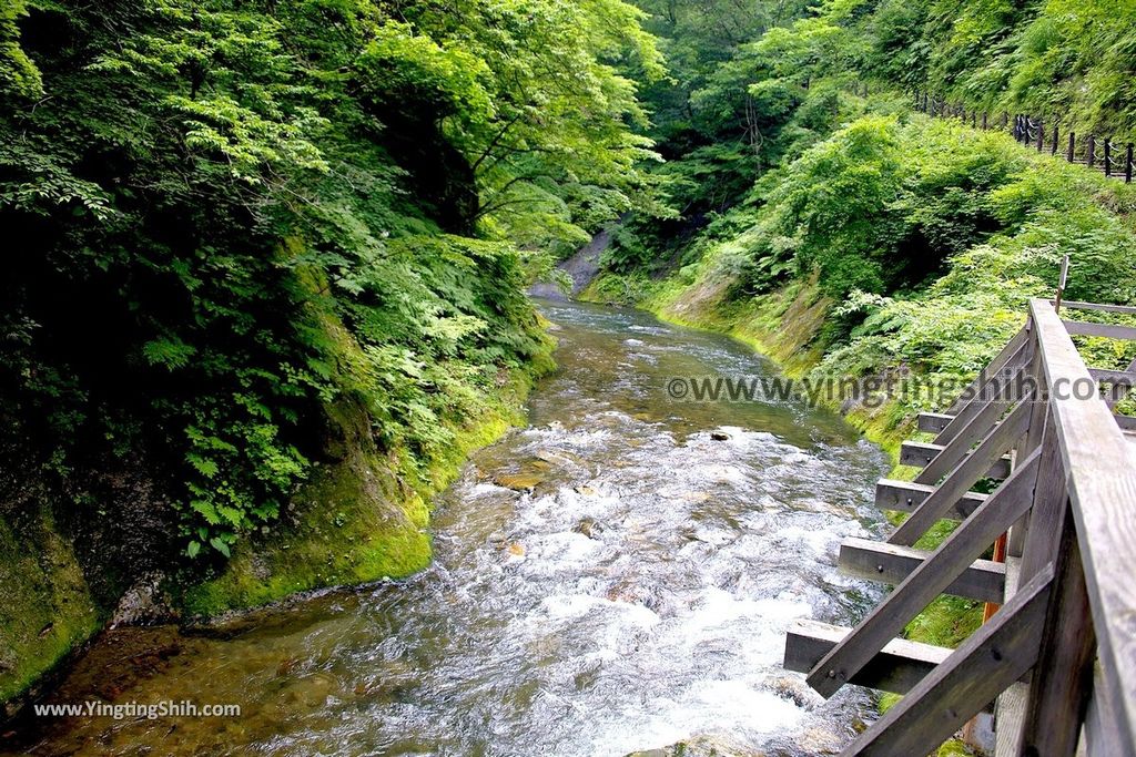 YTS_YTS_20190730_日本東北宮城大崎鳴子峡／大谷川／大深沢橋Japan Tohoku Miyagi Narukokyo Yuryo060_539A1988.jpg