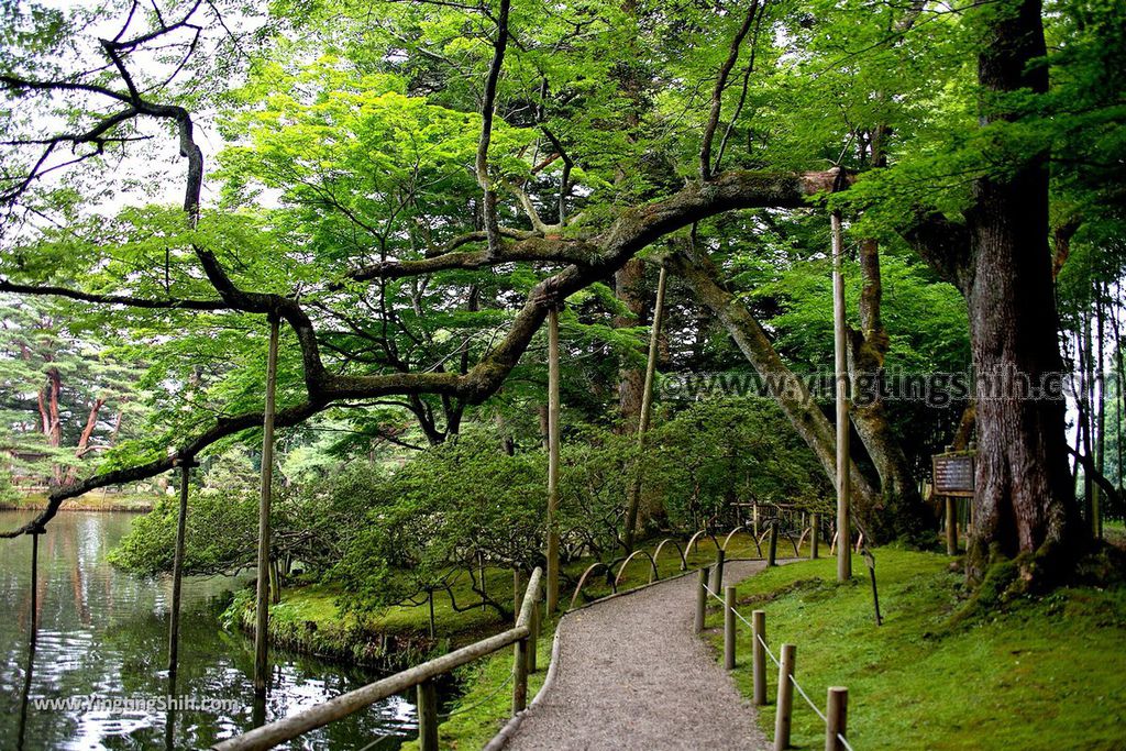 YTS_YTS_20190730_日本東北宮城大崎旧有備館／有備館の森公園／茶、兜、鶴、龜島Japan Tohoku Miyagi Yubikan Garden059_539A2645.jpg