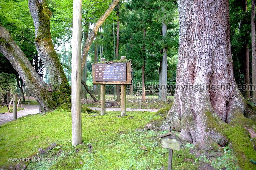 YTS_YTS_20190730_日本東北宮城大崎旧有備館／有備館の森公園／茶、兜、鶴、龜島Japan Tohoku Miyagi Yubikan Garden063_539A2660.jpg