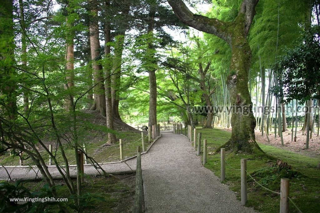 YTS_YTS_20190730_日本東北宮城大崎旧有備館／有備館の森公園／茶、兜、鶴、龜島Japan Tohoku Miyagi Yubikan Garden066_539A2681.jpg