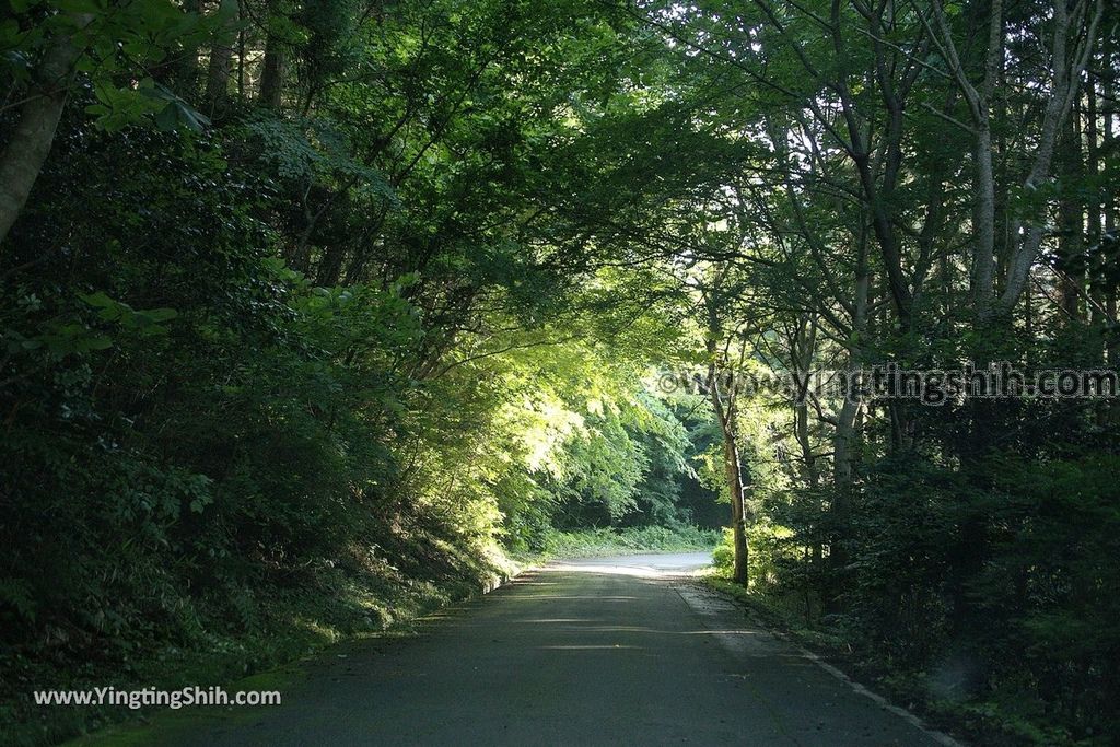 YTS_YTS_20190728_日本東北岩手陸前高田広田崎／青松島／椿島／根岬漁港Japan Tohoku Iwate Hirotazaki003_539A9376.jpg