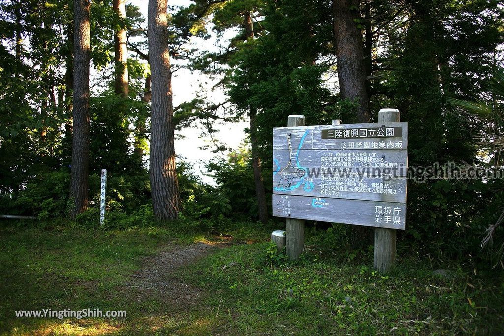 YTS_YTS_20190728_日本東北岩手陸前高田広田崎／青松島／椿島／根岬漁港Japan Tohoku Iwate Hirotazaki008_539A9388.jpg