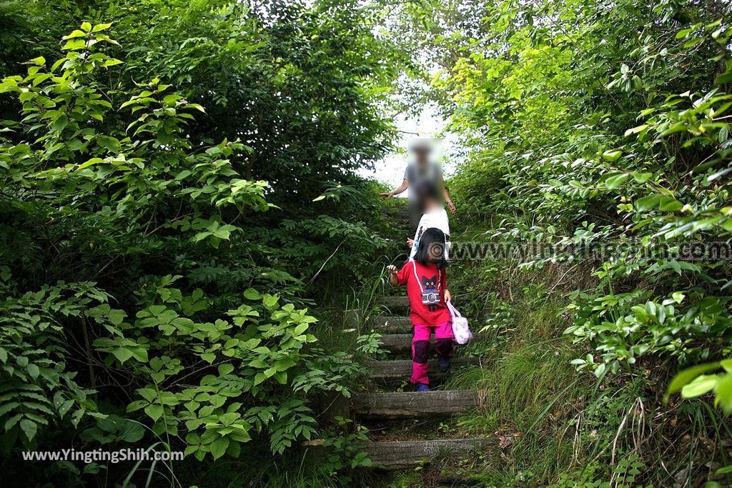 YTS_YTS_20190728_日本東北岩手陸前高田広田崎／青松島／椿島／根岬漁港Japan Tohoku Iwate Hirotazaki013_539A9397.jpg