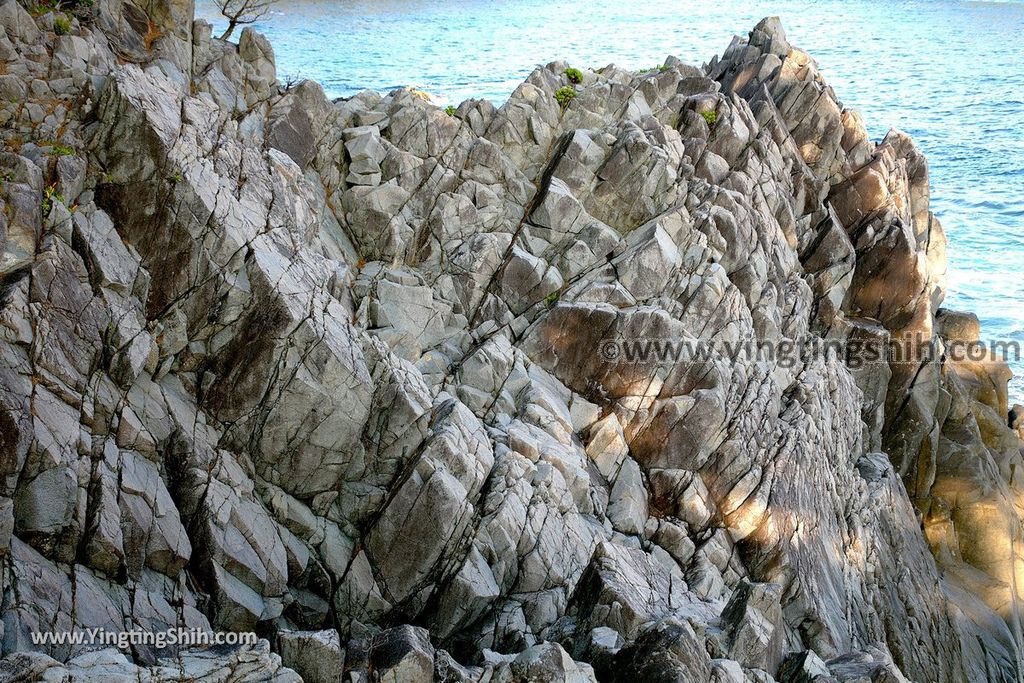 YTS_YTS_20190728_日本東北岩手陸前高田広田崎／青松島／椿島／根岬漁港Japan Tohoku Iwate Hirotazaki026_539A9427.jpg