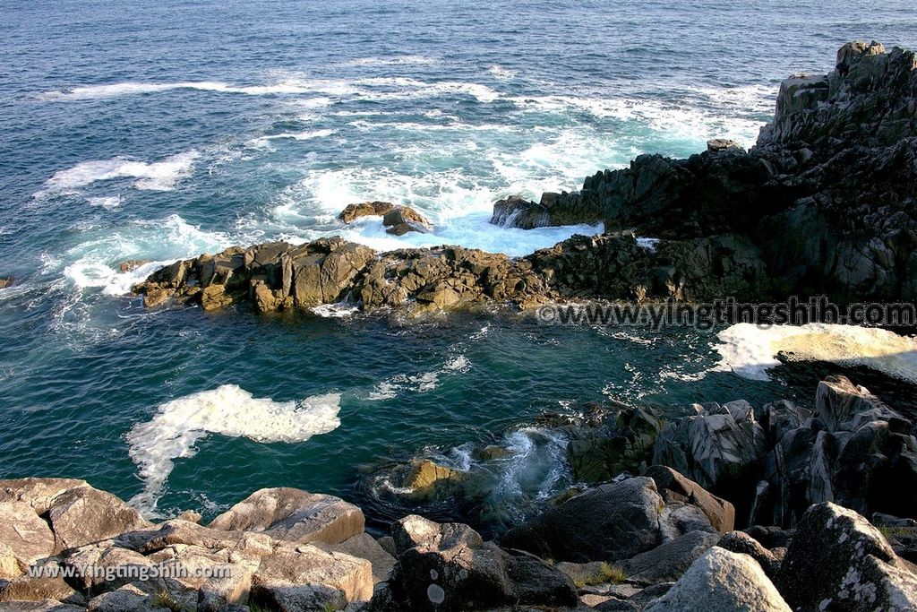 YTS_YTS_20190728_日本東北岩手陸前高田広田崎／青松島／椿島／根岬漁港Japan Tohoku Iwate Hirotazaki028_539A9449.jpg