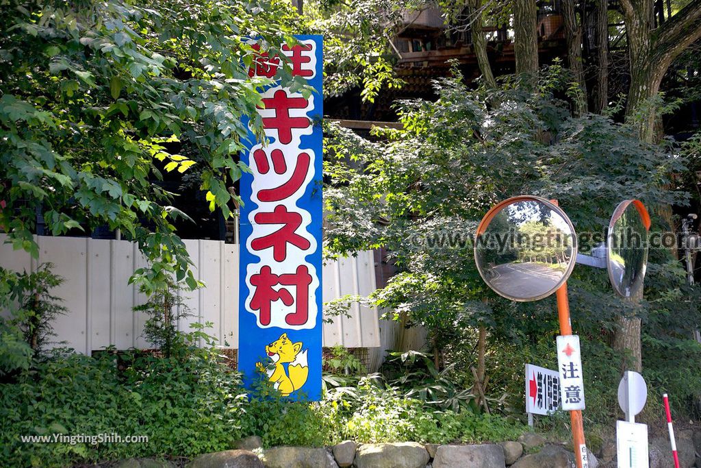 YTS_YTS_20190818_日本東北宮城蔵王狐狸村（抱狐狸體驗）／キツネ村Japan Tohoku Miyagi Zao Fox Village002_539A9881.jpg