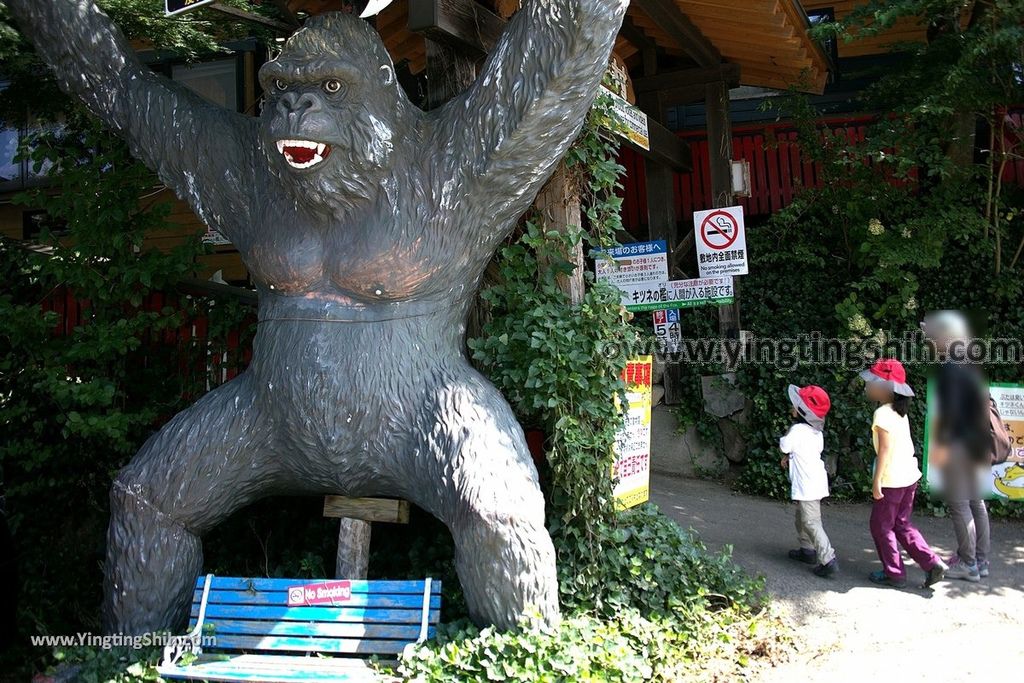 YTS_YTS_20190818_日本東北宮城蔵王狐狸村（抱狐狸體驗）／キツネ村Japan Tohoku Miyagi Zao Fox Village011_539A9894.jpg