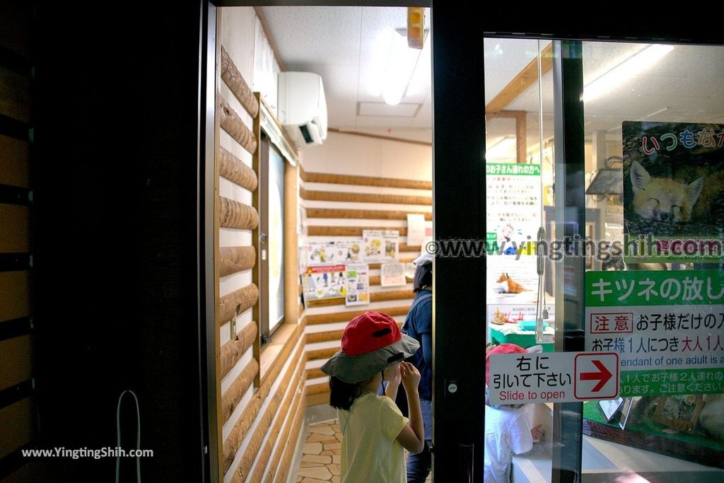 YTS_YTS_20190818_日本東北宮城蔵王狐狸村（抱狐狸體驗）／キツネ村Japan Tohoku Miyagi Zao Fox Village019_539A9902.jpg