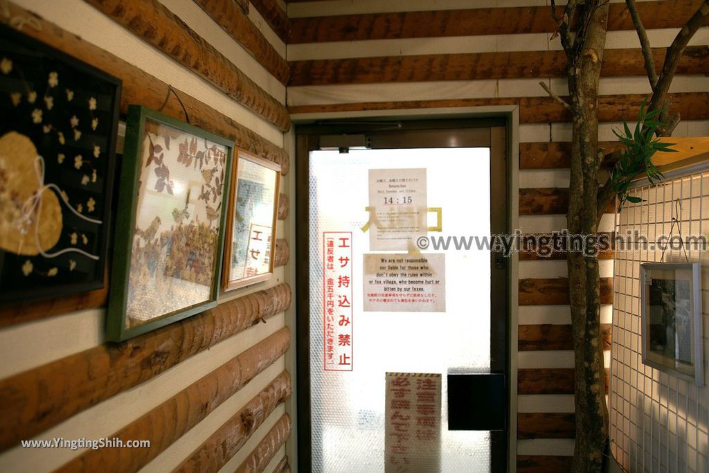 YTS_YTS_20190818_日本東北宮城蔵王狐狸村（抱狐狸體驗）／キツネ村Japan Tohoku Miyagi Zao Fox Village030_539A9916.jpg