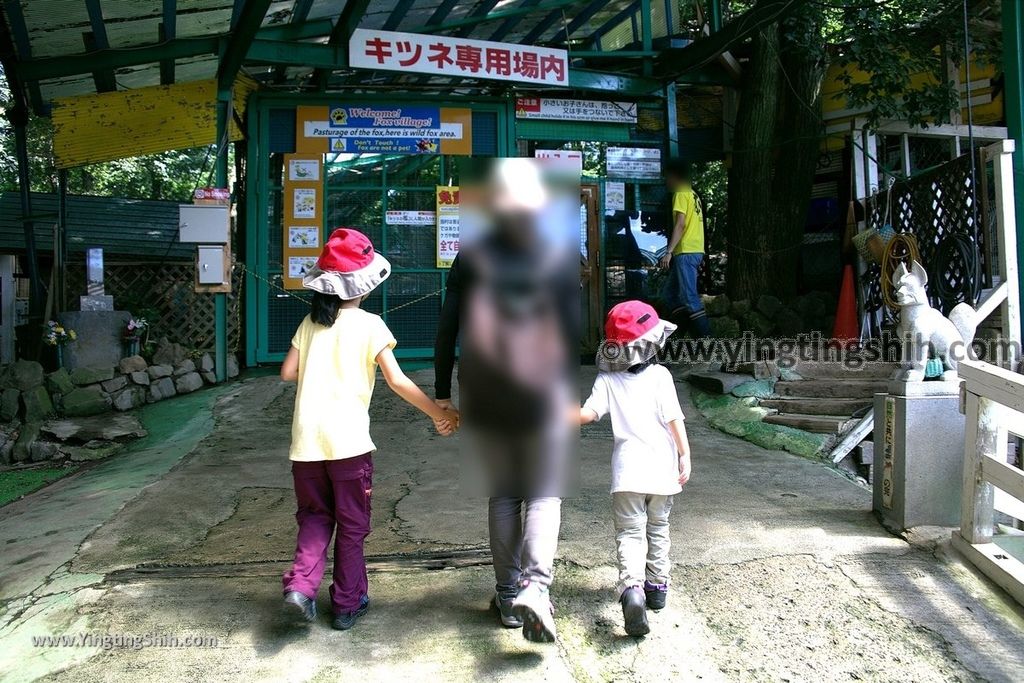 YTS_YTS_20190818_日本東北宮城蔵王狐狸村（抱狐狸體驗）／キツネ村Japan Tohoku Miyagi Zao Fox Village034_539A9943.jpg