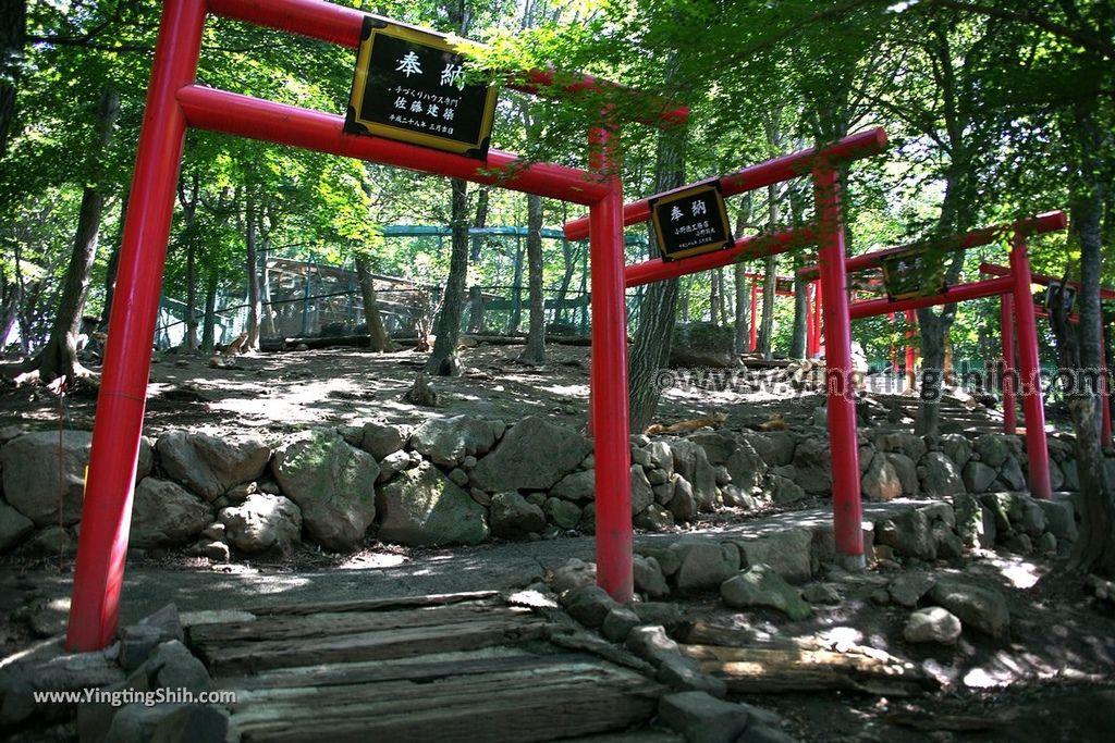 YTS_YTS_20190818_日本東北宮城蔵王狐狸村（抱狐狸體驗）／キツネ村Japan Tohoku Miyagi Zao Fox Village052_539A0065.jpg