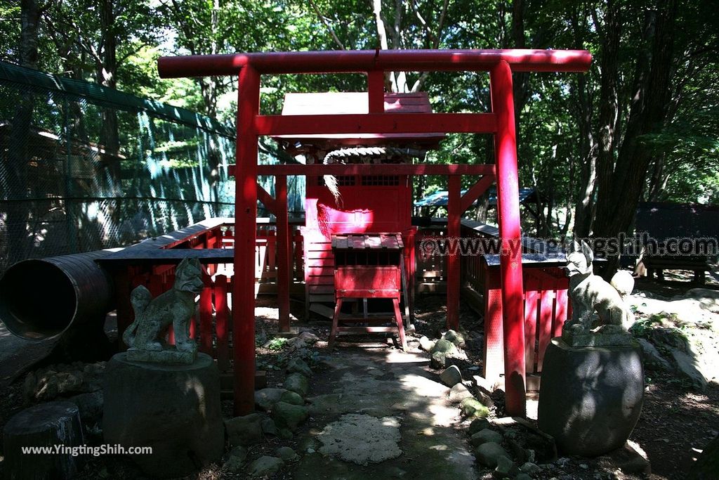 YTS_YTS_20190818_日本東北宮城蔵王狐狸村（抱狐狸體驗）／キツネ村Japan Tohoku Miyagi Zao Fox Village058_539A0087.jpg