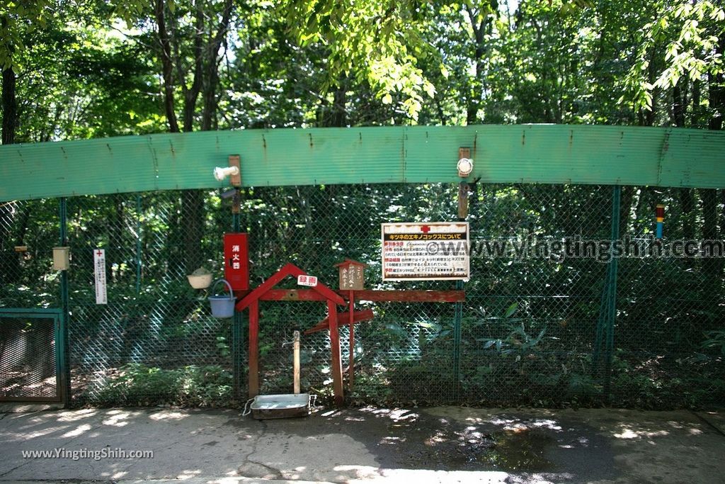 YTS_YTS_20190818_日本東北宮城蔵王狐狸村（抱狐狸體驗）／キツネ村Japan Tohoku Miyagi Zao Fox Village063_539A0085.jpg