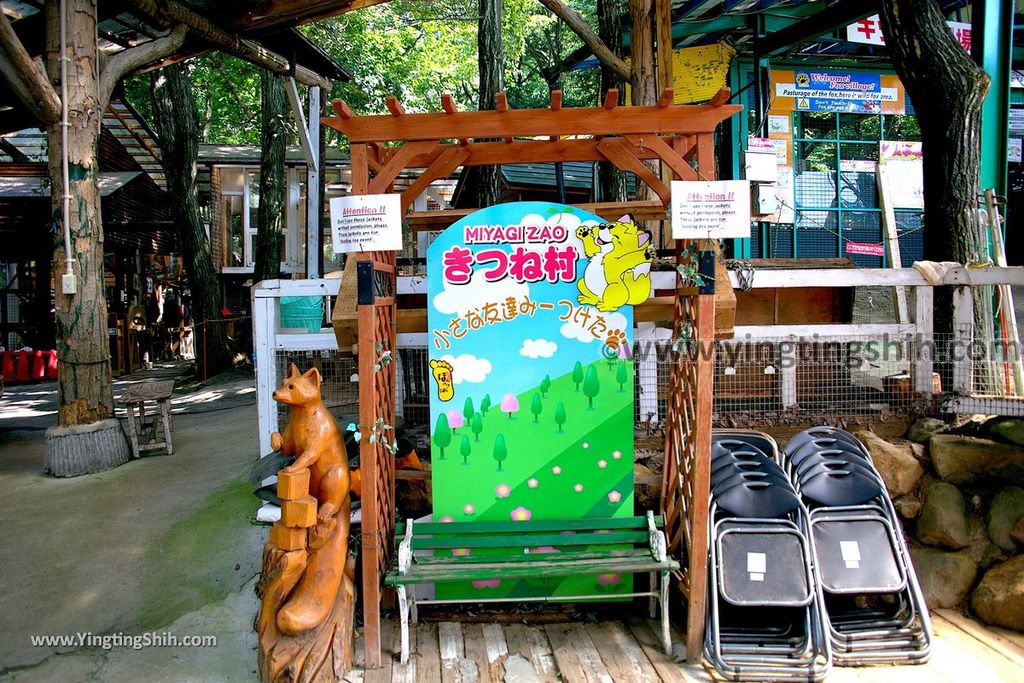 YTS_YTS_20190818_日本東北宮城蔵王狐狸村（抱狐狸體驗）／キツネ村Japan Tohoku Miyagi Zao Fox Village113_539A9942.jpg