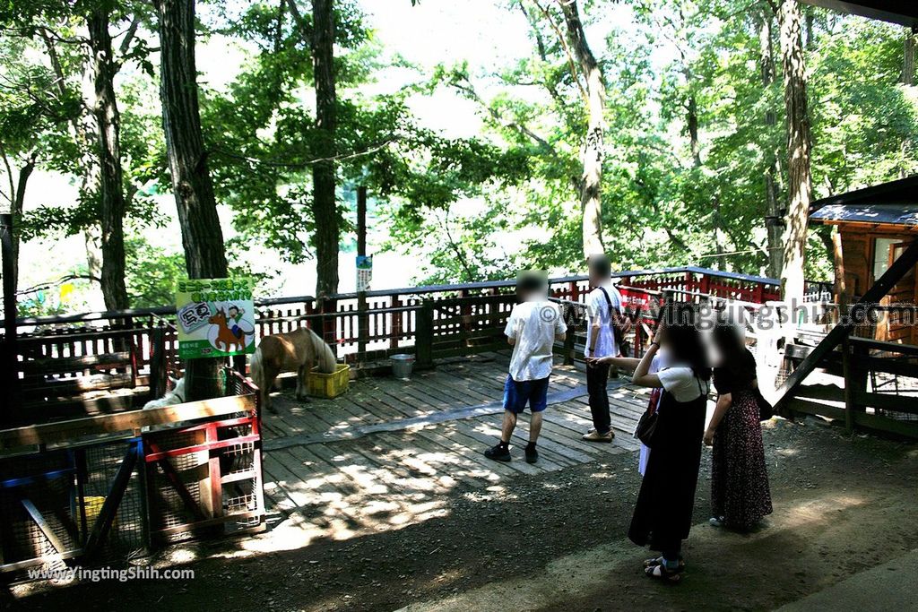 YTS_YTS_20190818_日本東北宮城蔵王狐狸村（抱狐狸體驗）／キツネ村Japan Tohoku Miyagi Zao Fox Village135_539A1205.jpg