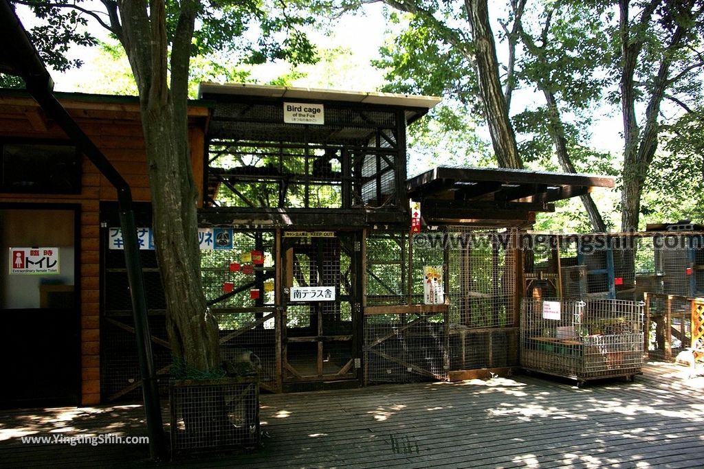 YTS_YTS_20190818_日本東北宮城蔵王狐狸村（抱狐狸體驗）／キツネ村Japan Tohoku Miyagi Zao Fox Village147_539A9934.jpg