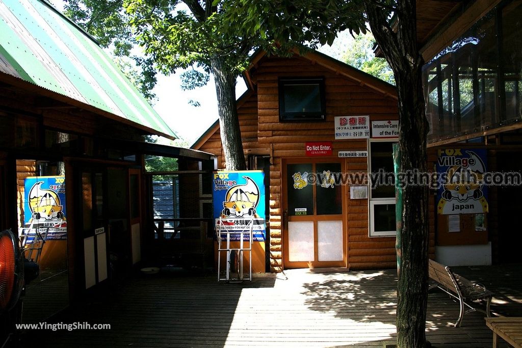 YTS_YTS_20190818_日本東北宮城蔵王狐狸村（抱狐狸體驗）／キツネ村Japan Tohoku Miyagi Zao Fox Village150_539A9931.jpg