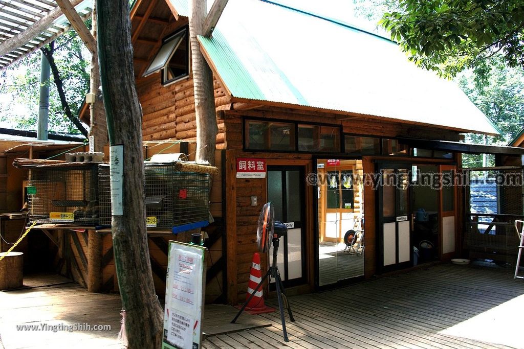 YTS_YTS_20190818_日本東北宮城蔵王狐狸村（抱狐狸體驗）／キツネ村Japan Tohoku Miyagi Zao Fox Village151_539A9932.jpg