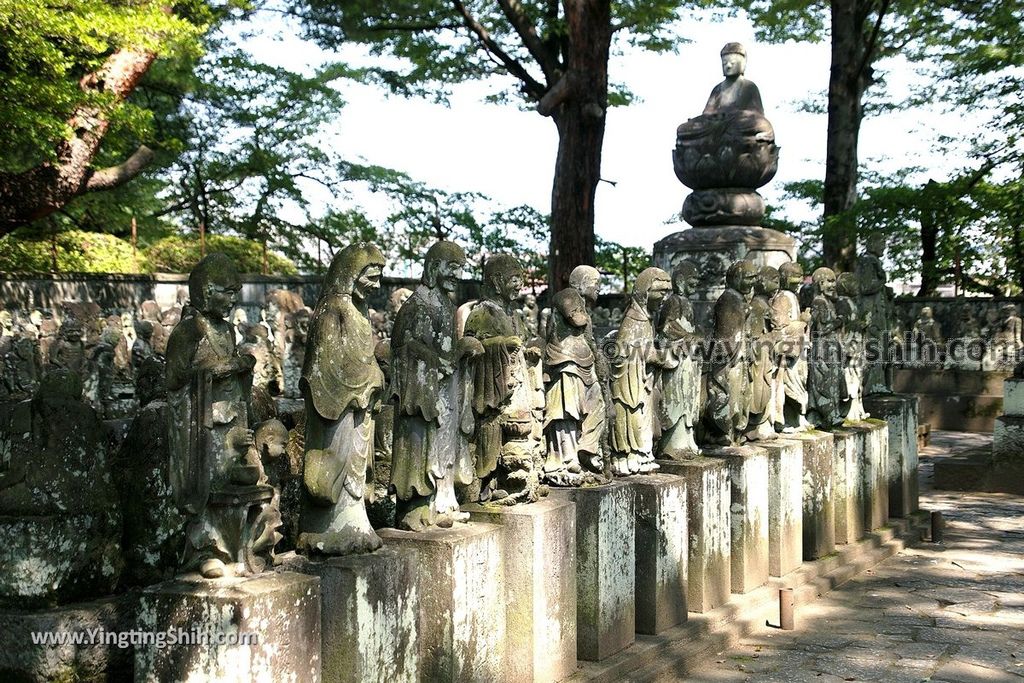 YTS_YTS_20190804_日本關東埼玉川越大師喜多院／五百羅漢／松平大和守家廟所Japan Kanto Saitama Kawagoe Kita-in Temple088_539A1618.jpg